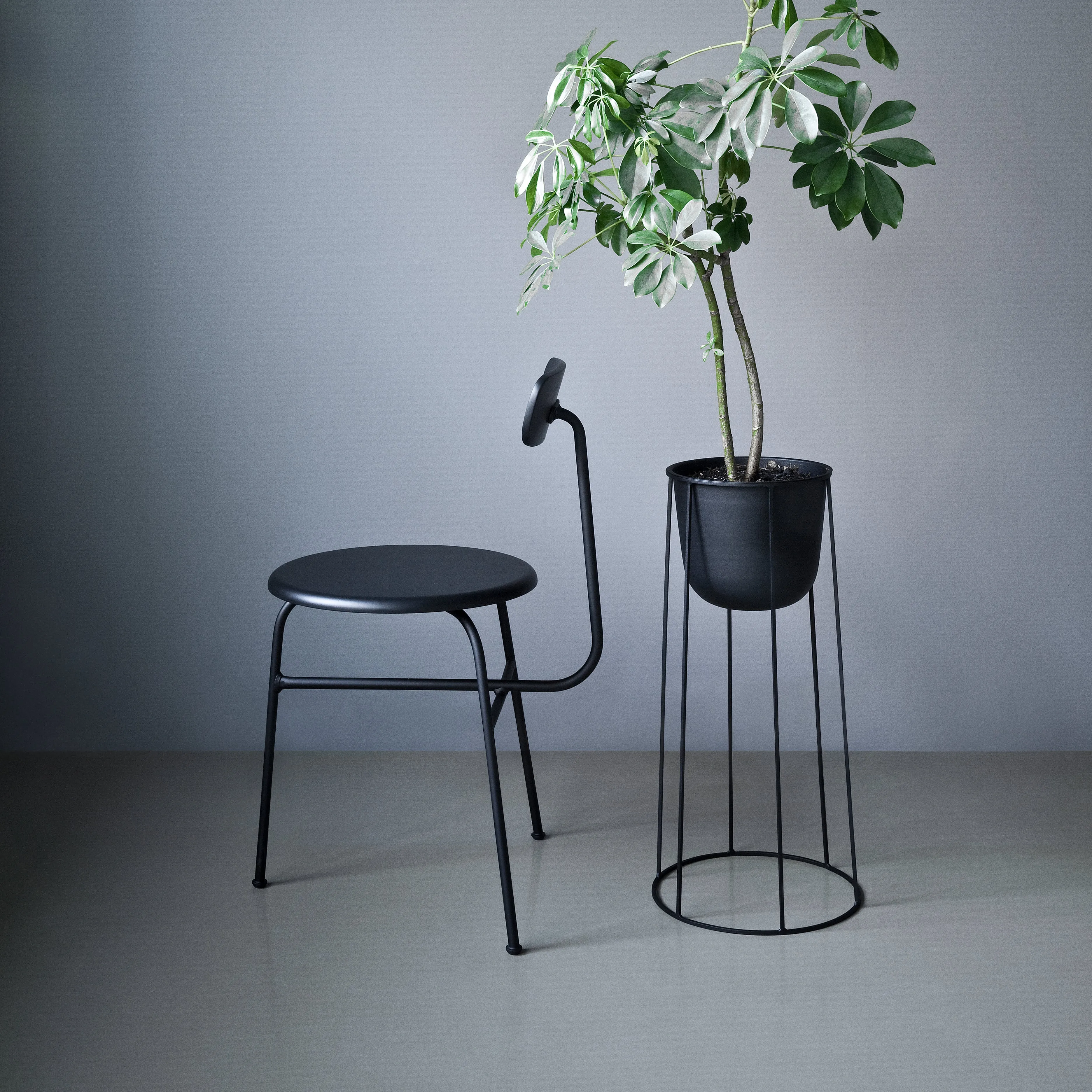 Afteroom Dining Chair