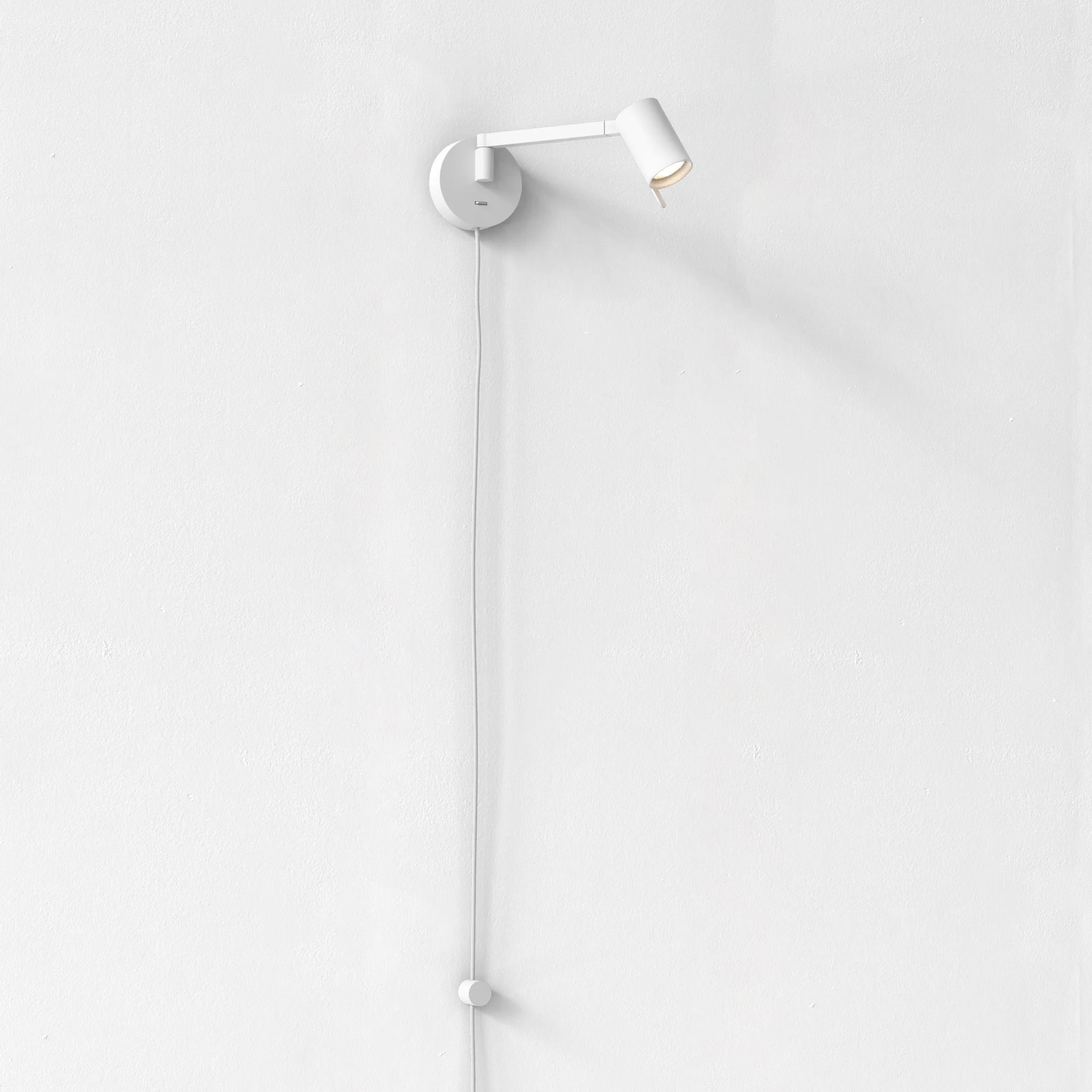Ascoli Swing Plug-In Wall Sconce