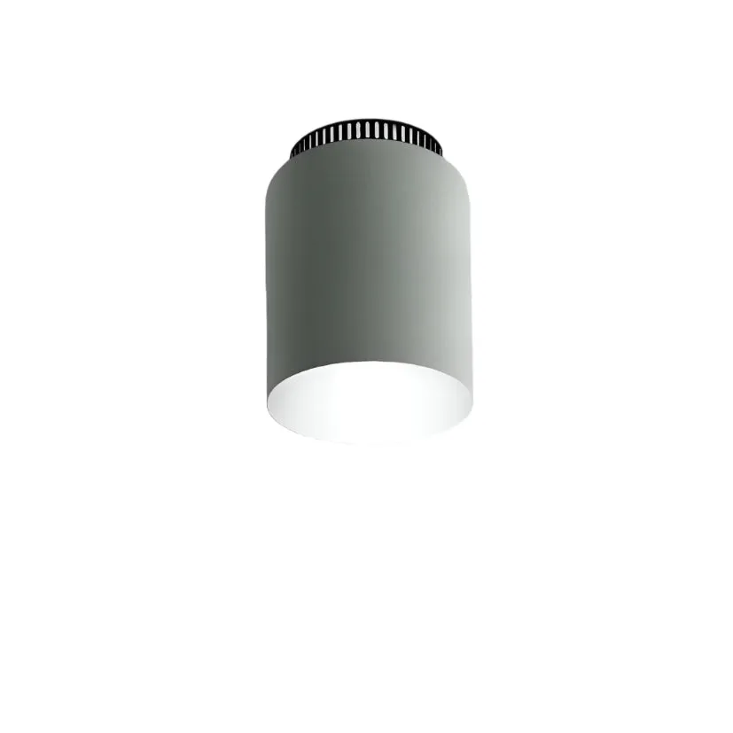 Aspen C17 Flush Mount
