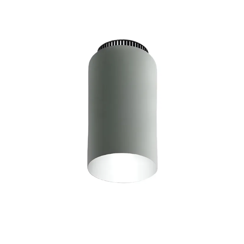 Aspen C17 Flush Mount