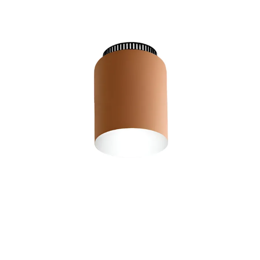 Aspen C17 Flush Mount