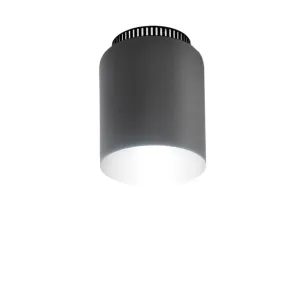 Aspen C17 Flush Mount