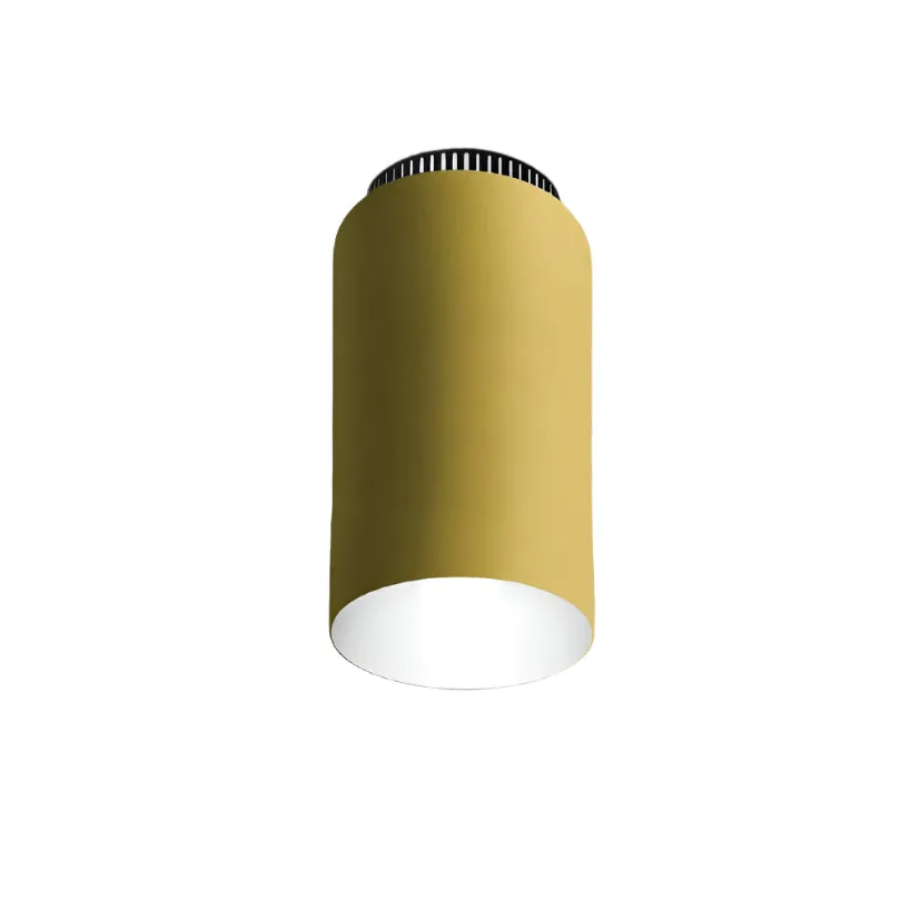 Aspen C17 Flush Mount