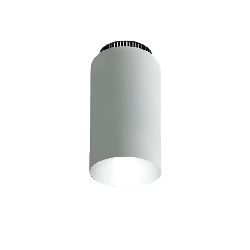 Aspen C17 Flush Mount