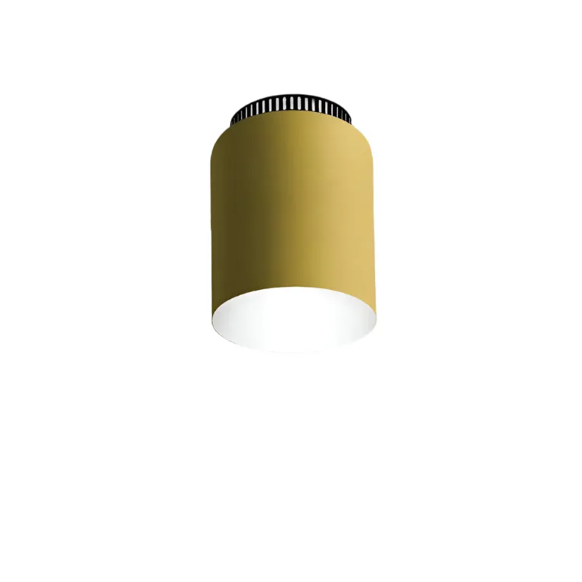 Aspen C17 Flush Mount