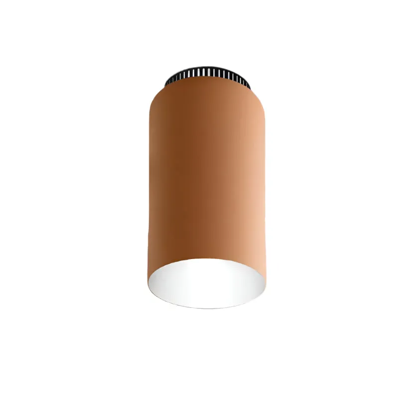 Aspen C17 Flush Mount