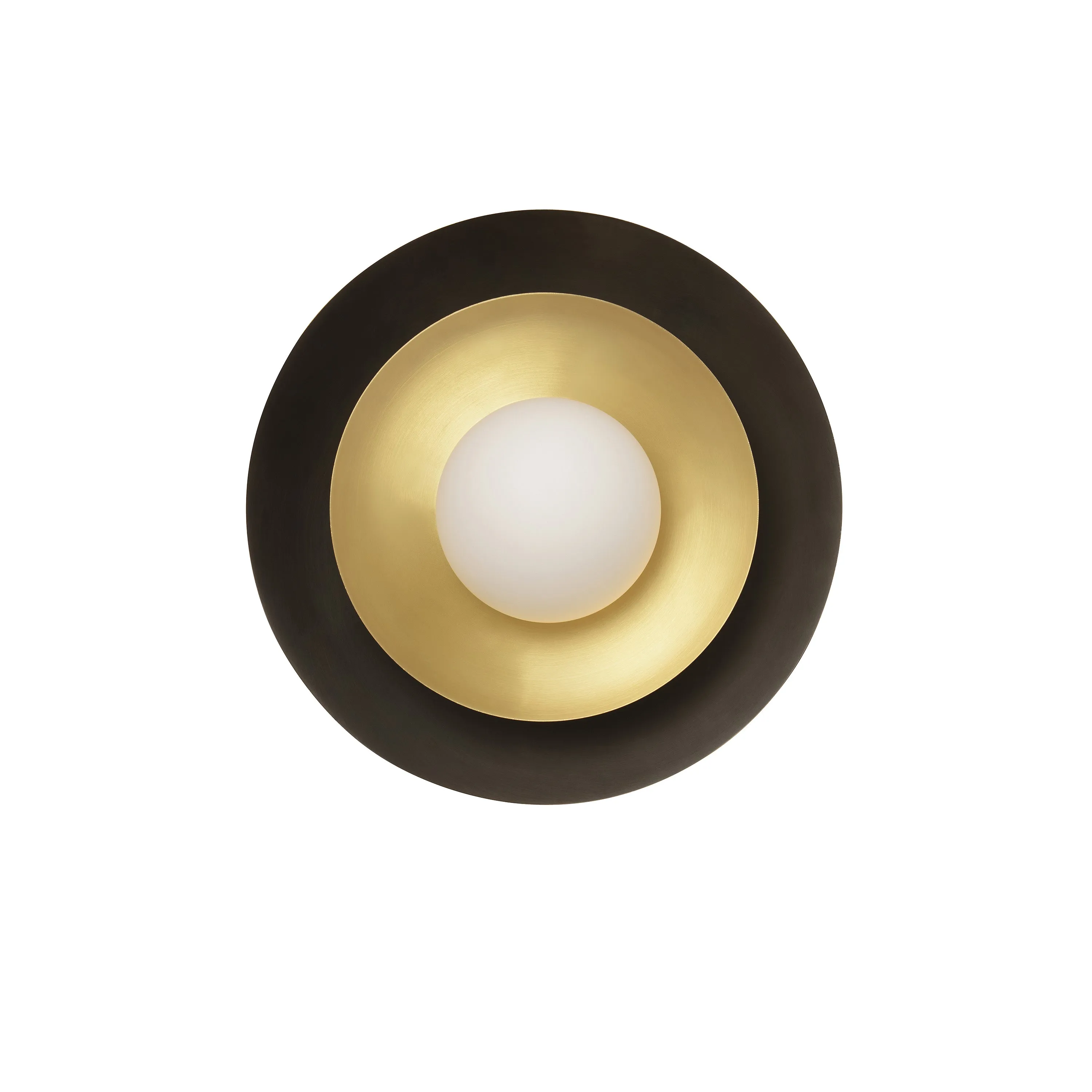 Carapace Wall/Ceiling Light