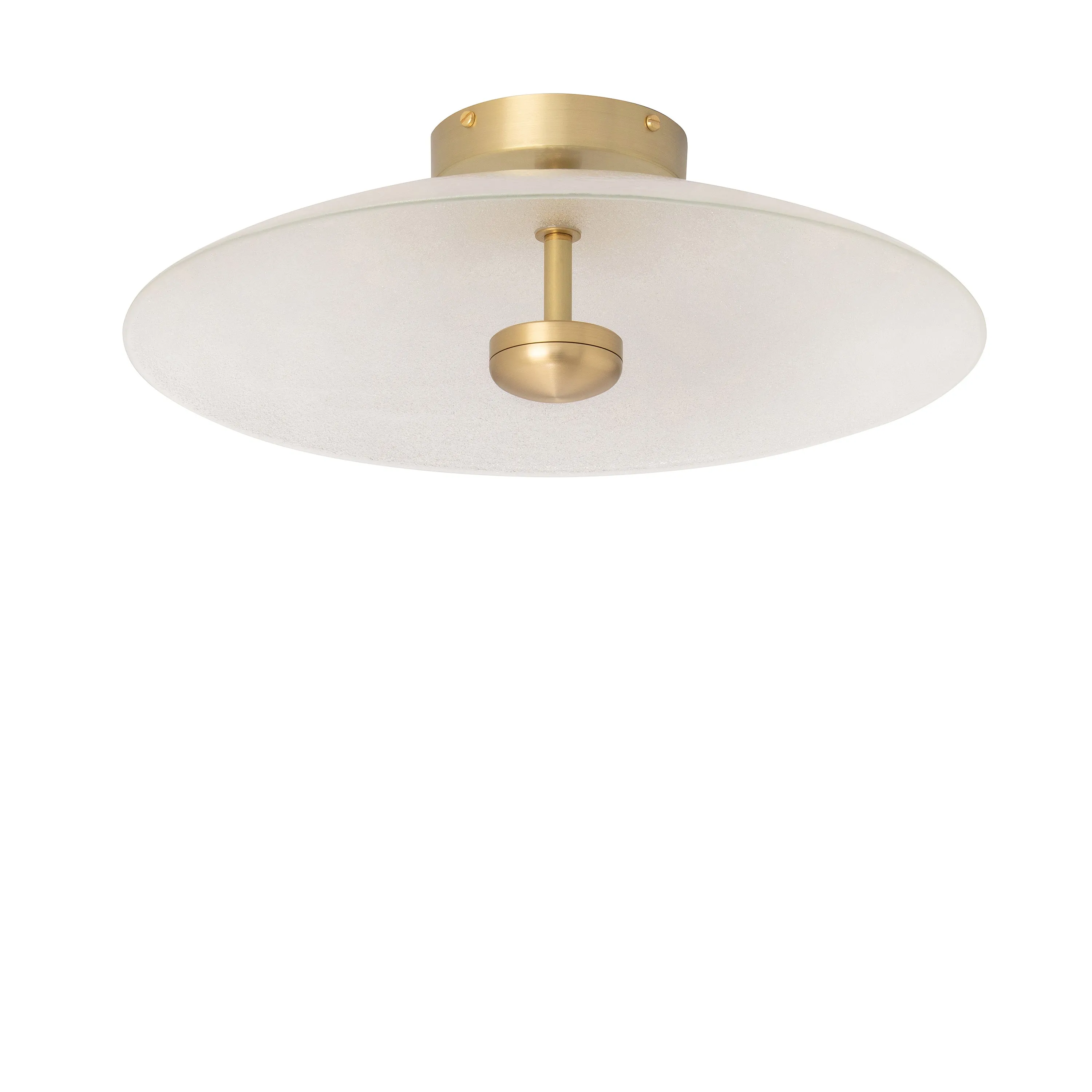 Cielo Wall/Ceiling Light