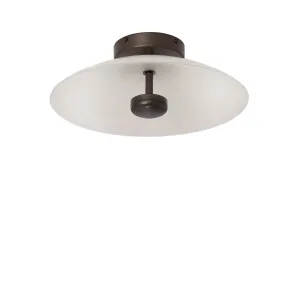 Cielo Wall/Ceiling Light