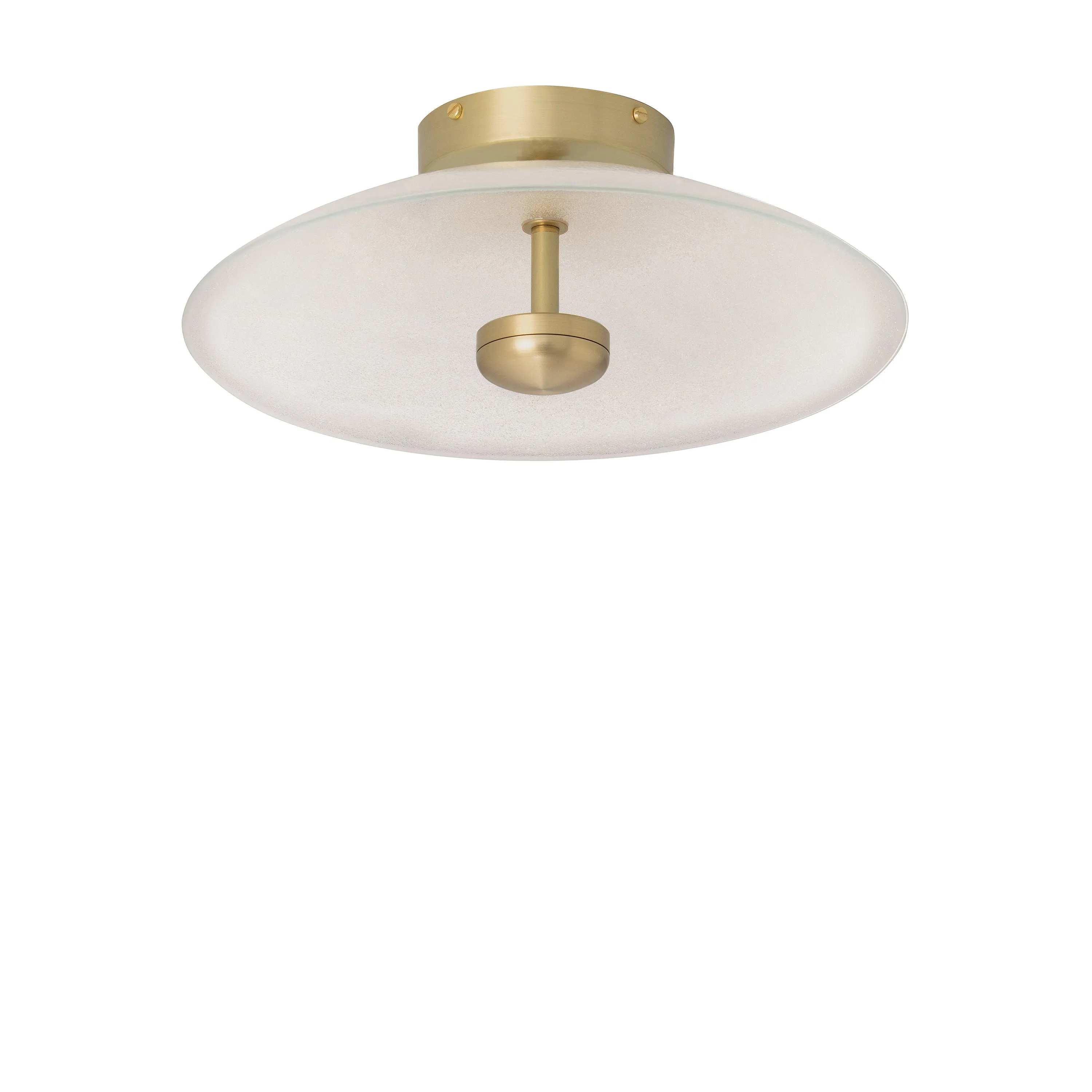 Cielo Wall/Ceiling Light