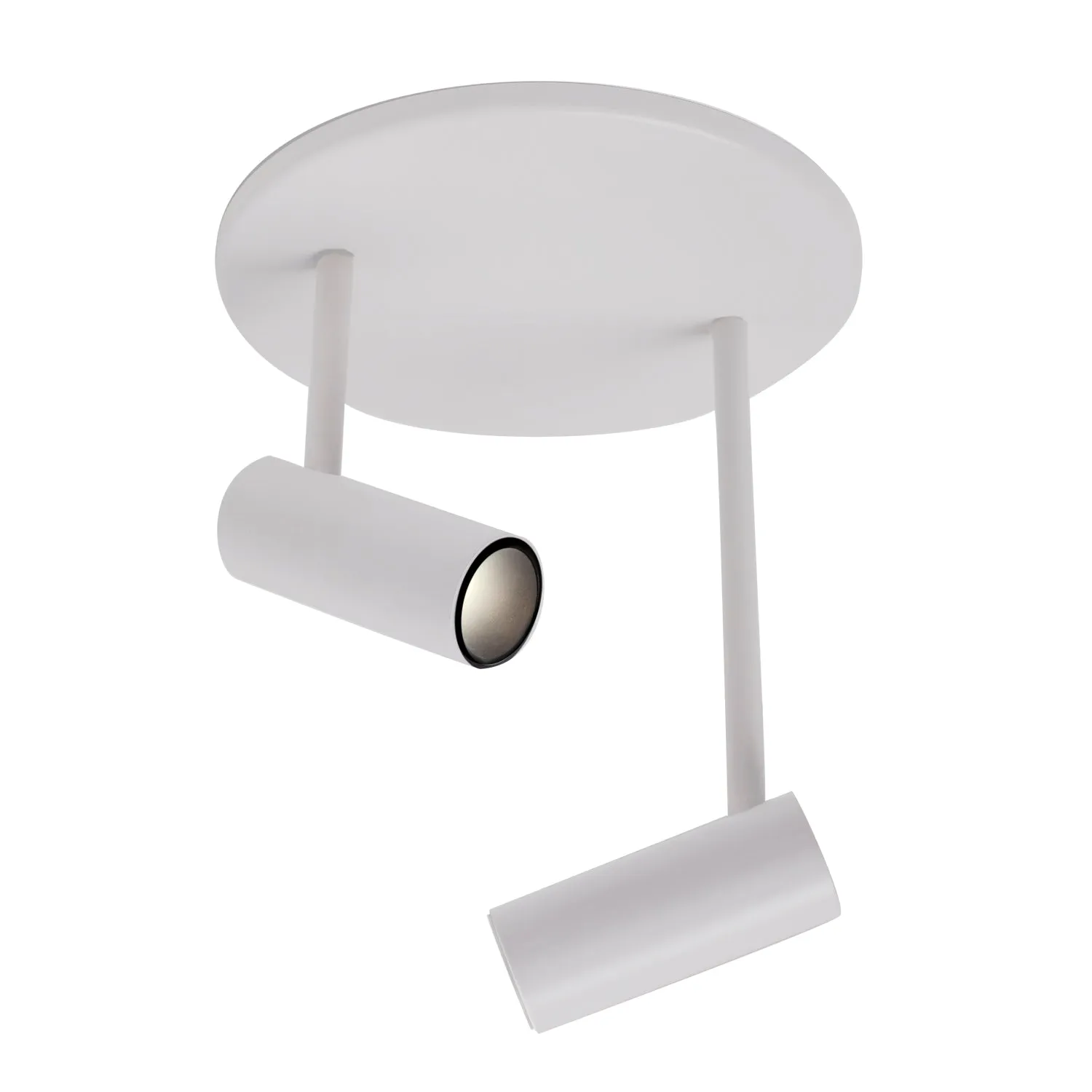 Downey Double Semi-Flush Mount