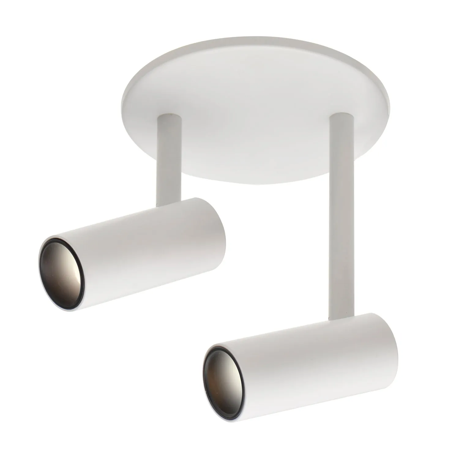 Downey Double Semi-Flush Mount
