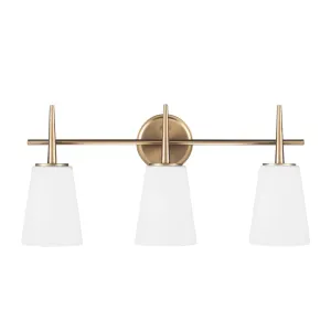 Driscoll Bathroom Vanity Light