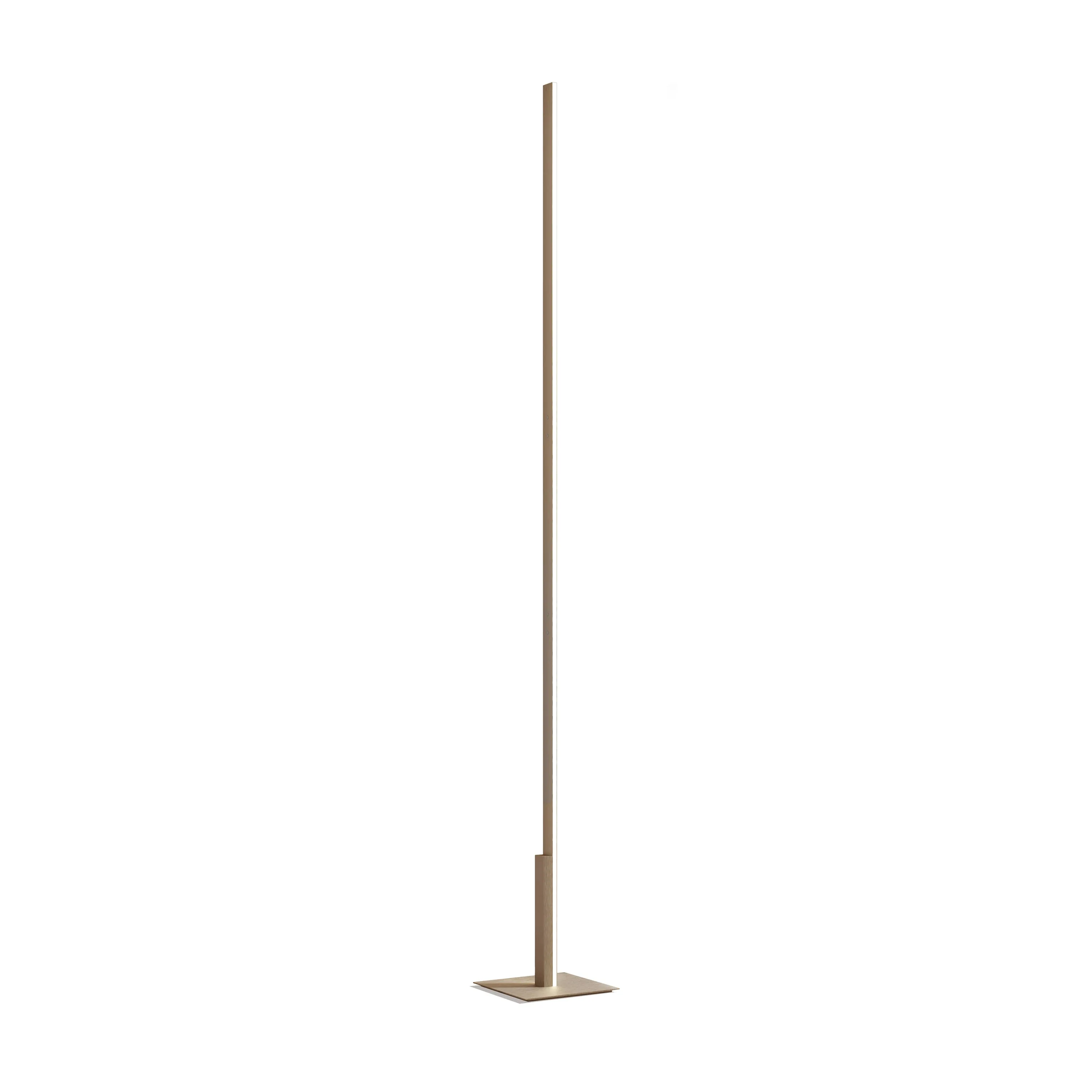 Fly LED Floor Lamp