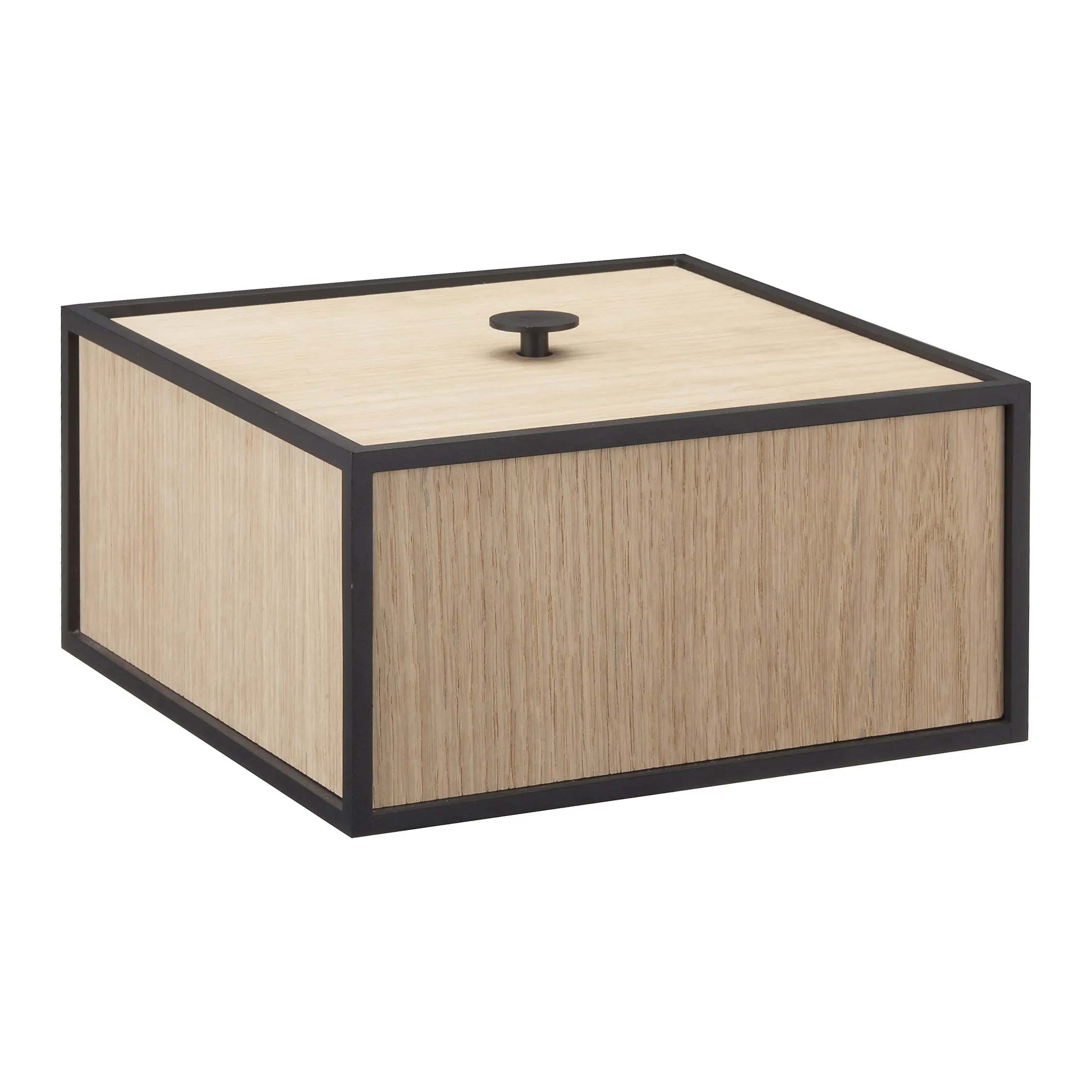 Frame Storage Box
