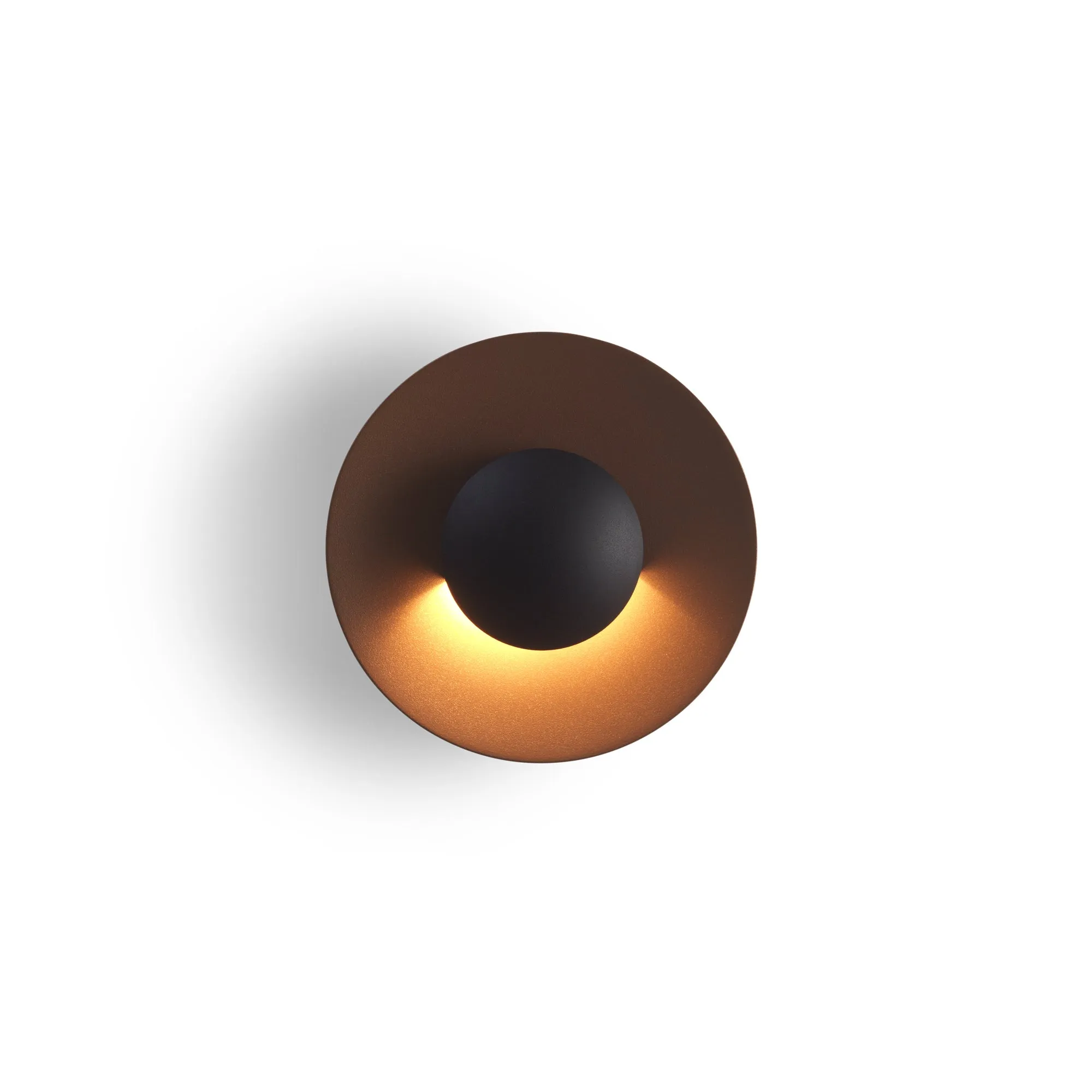 Ginger C Outdoor Wall/Ceiling Light