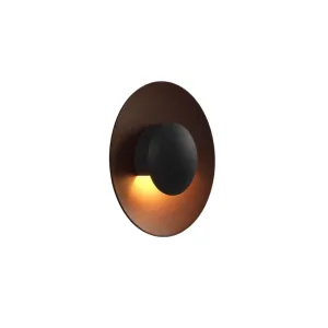Ginger C Outdoor Wall/Ceiling Light