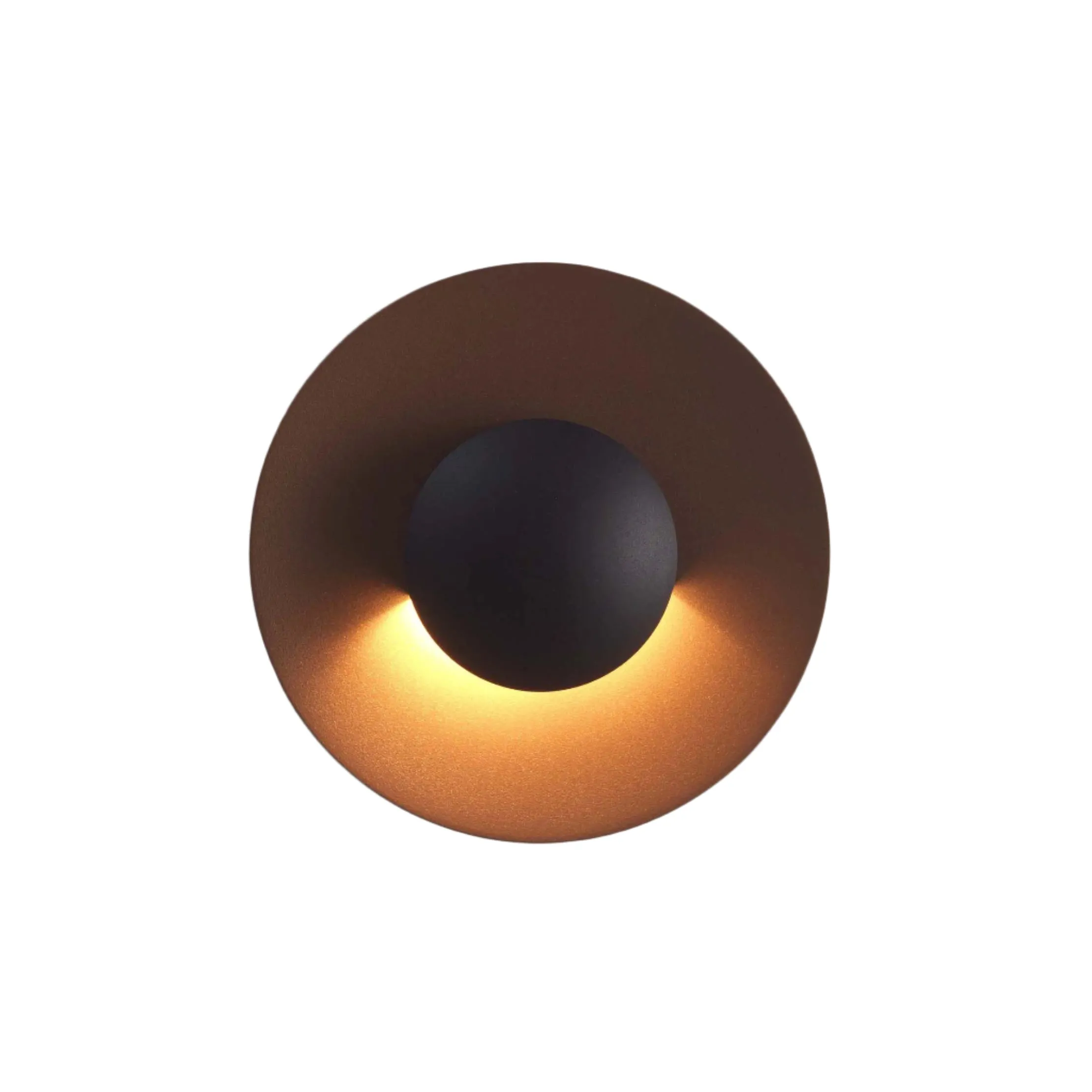 Ginger C Outdoor Wall/Ceiling Light