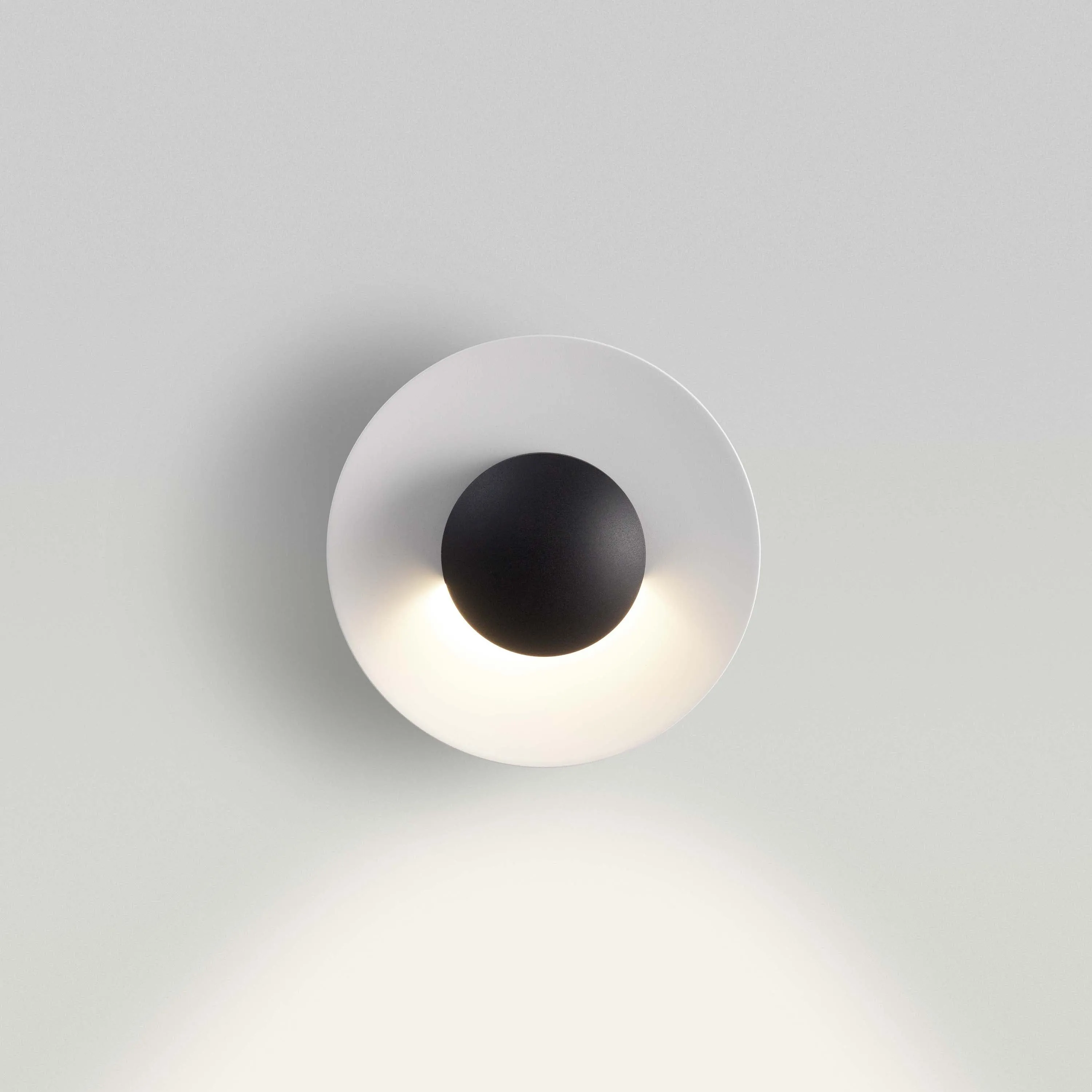 Ginger C Outdoor Wall/Ceiling Light