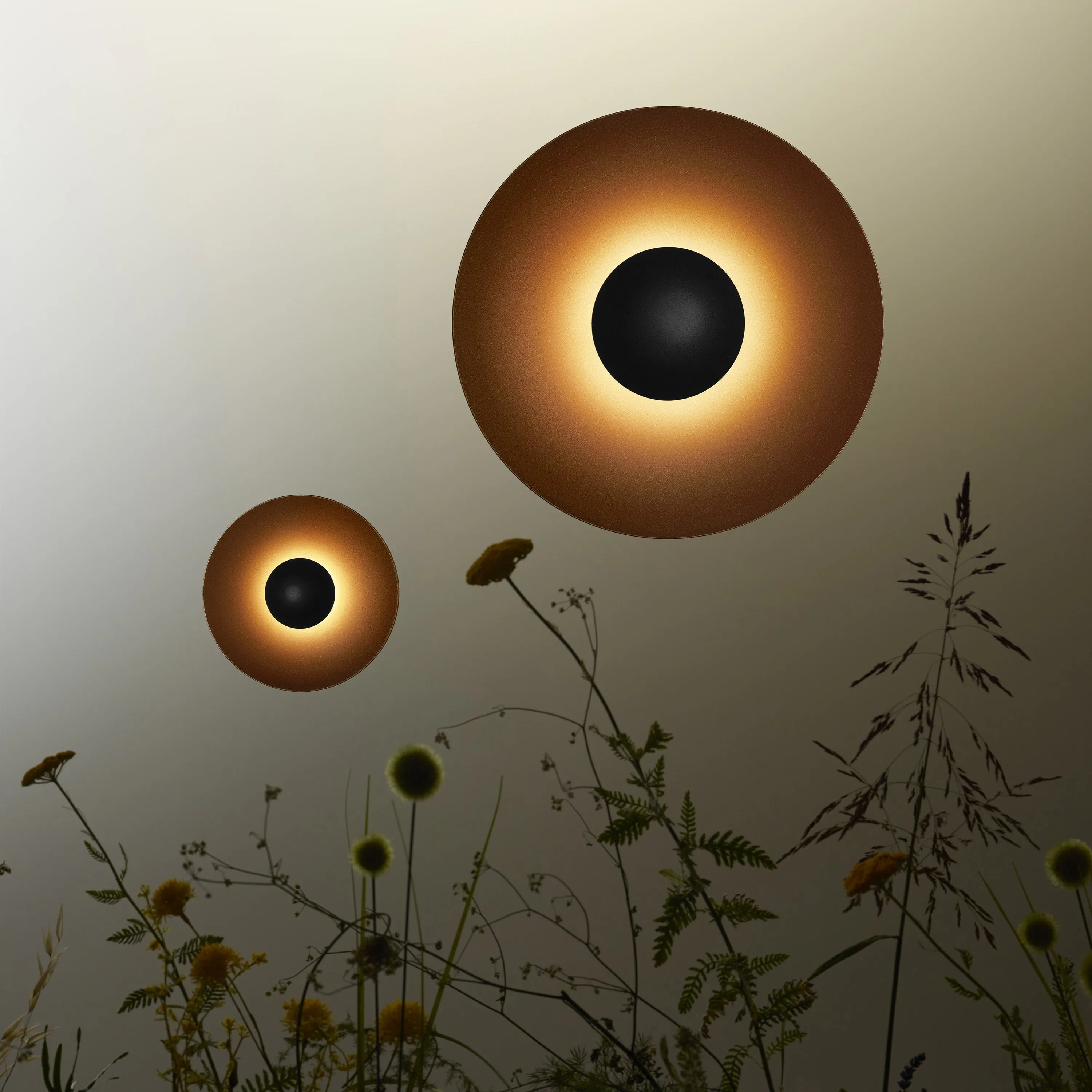 Ginger C Outdoor Wall/Ceiling Light