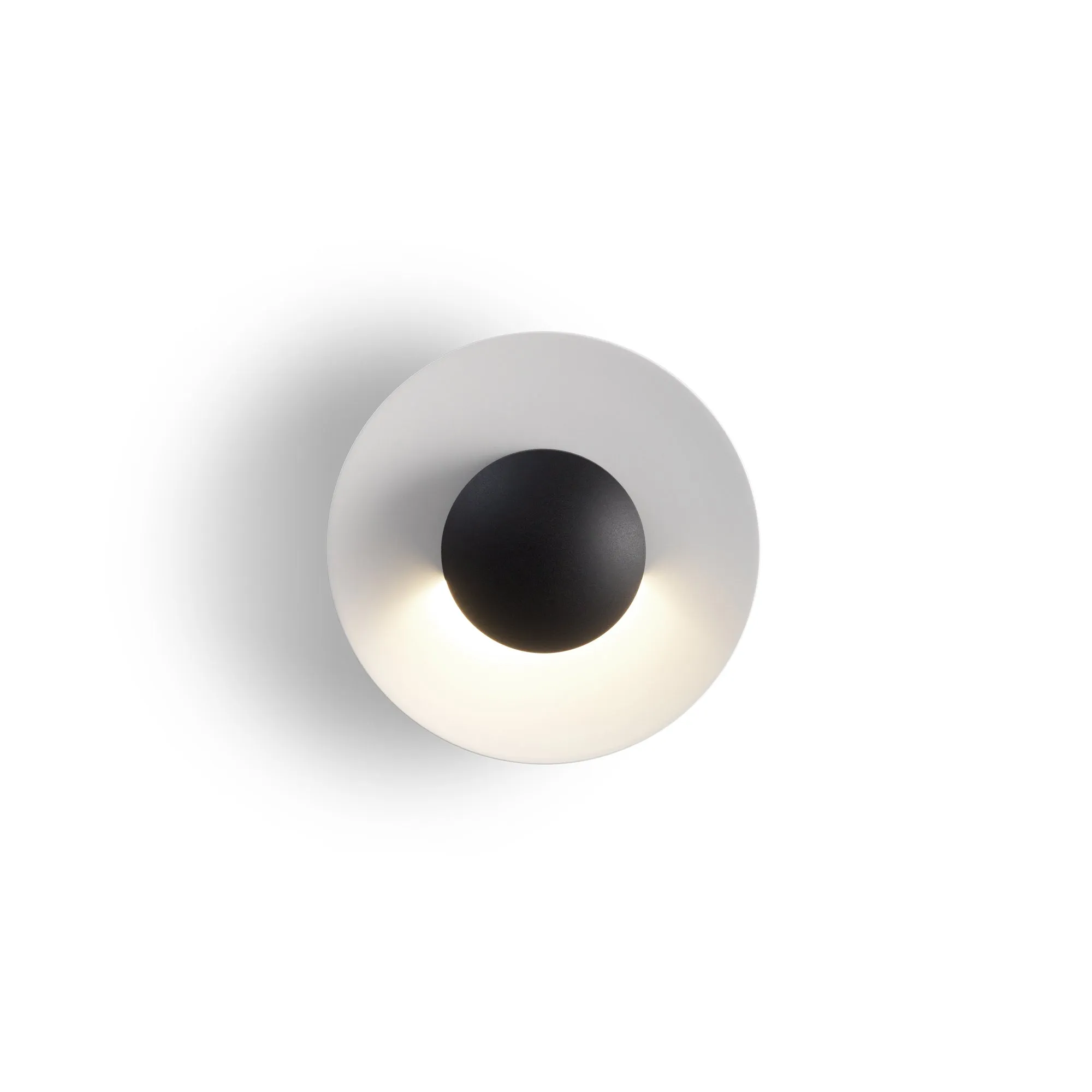 Ginger C Outdoor Wall/Ceiling Light