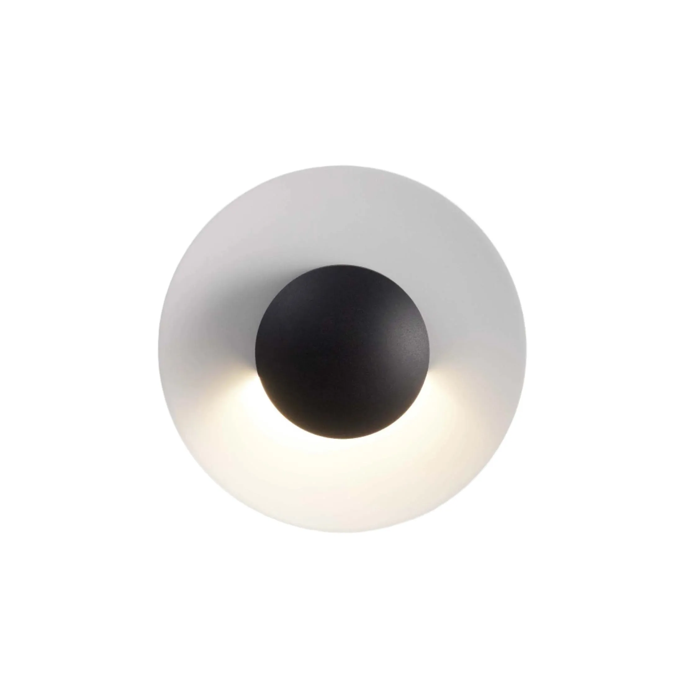 Ginger C Outdoor Wall/Ceiling Light