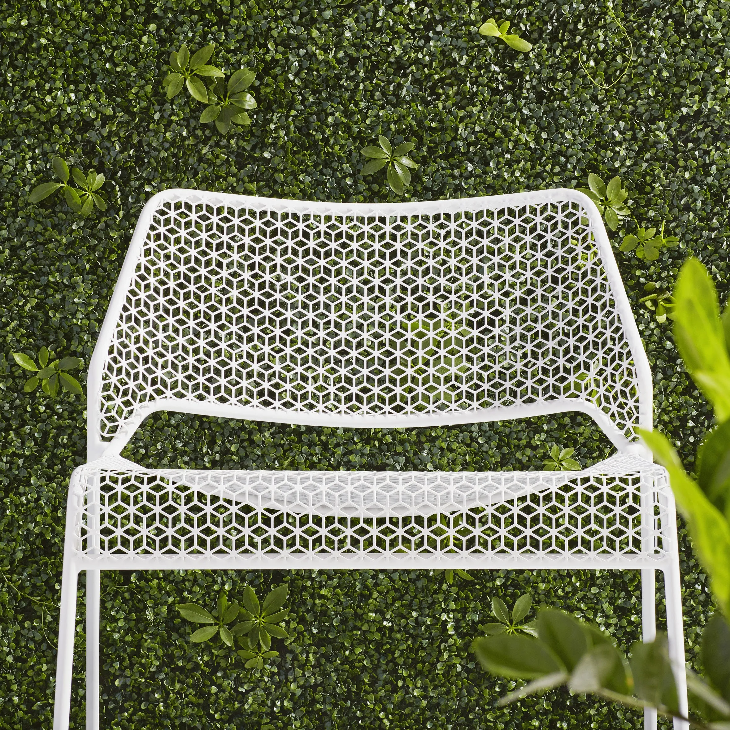 Hot Mesh Lounge Chair