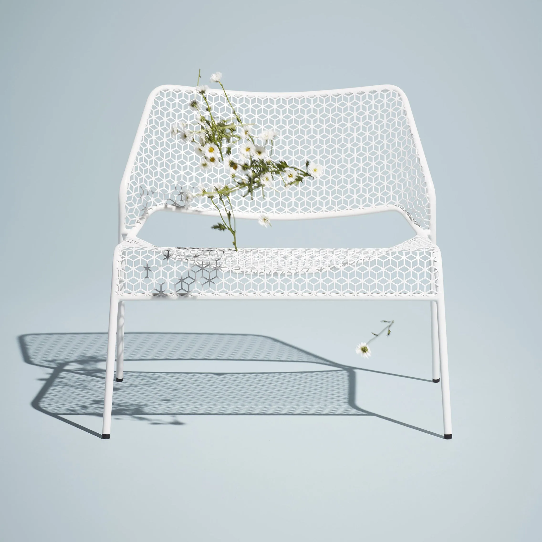 Hot Mesh Lounge Chair