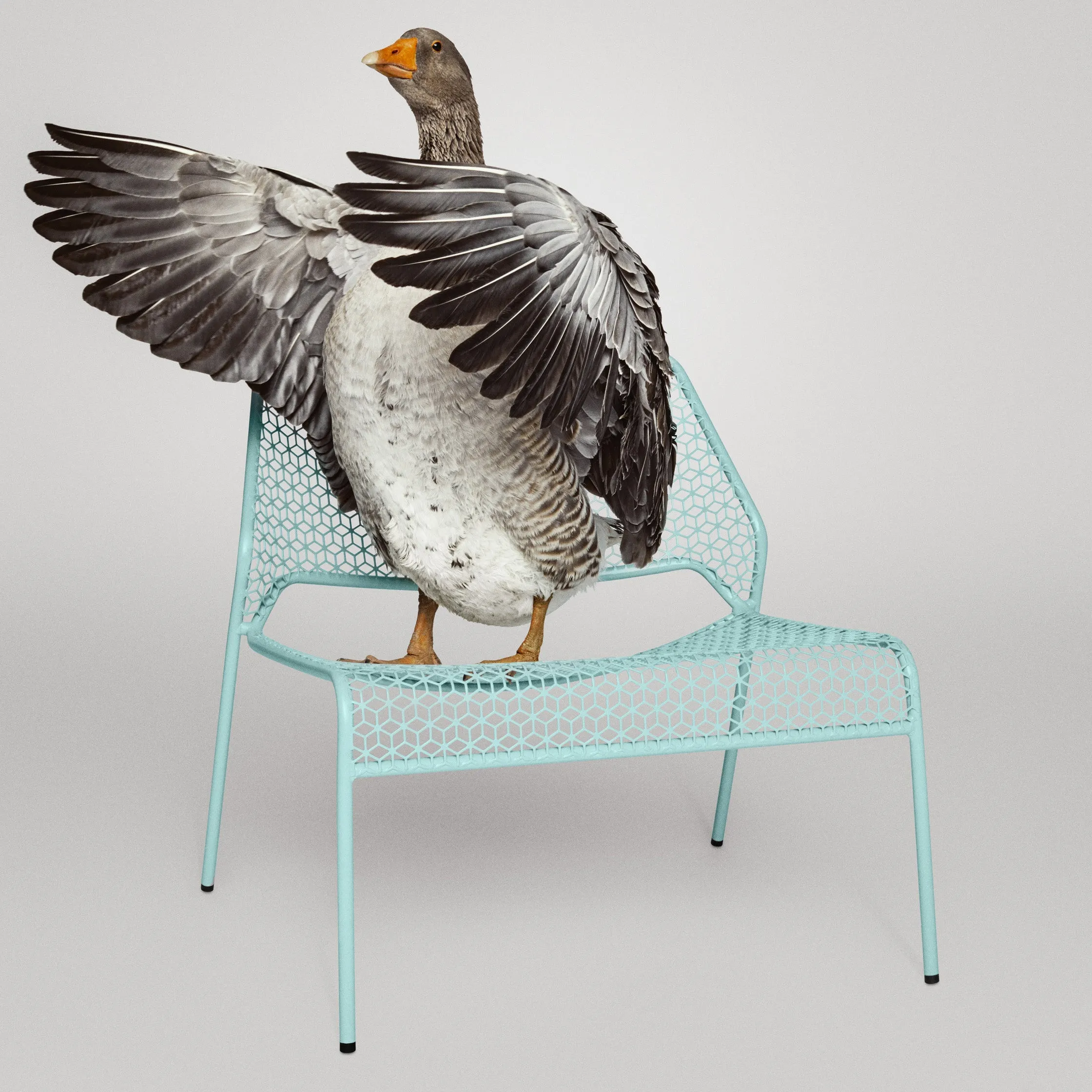 Hot Mesh Lounge Chair