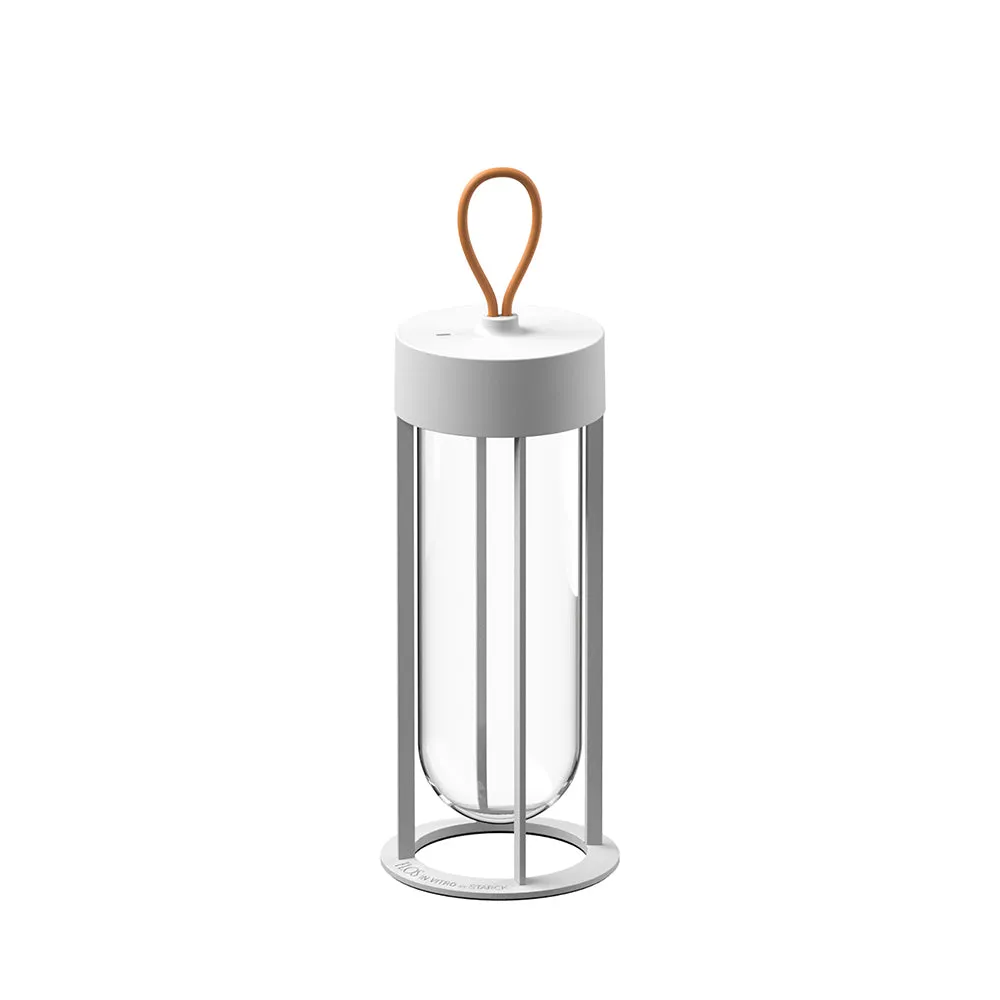 In Vitro Unplugged Portable Lamp