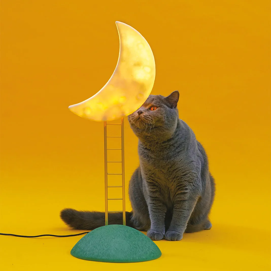 My Secret Place Table Lamp