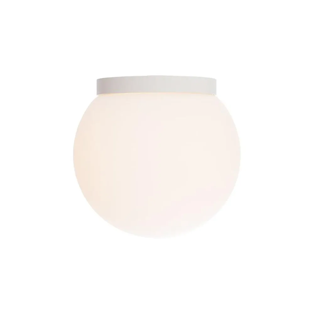 Niveous Wall / Ceiling Light