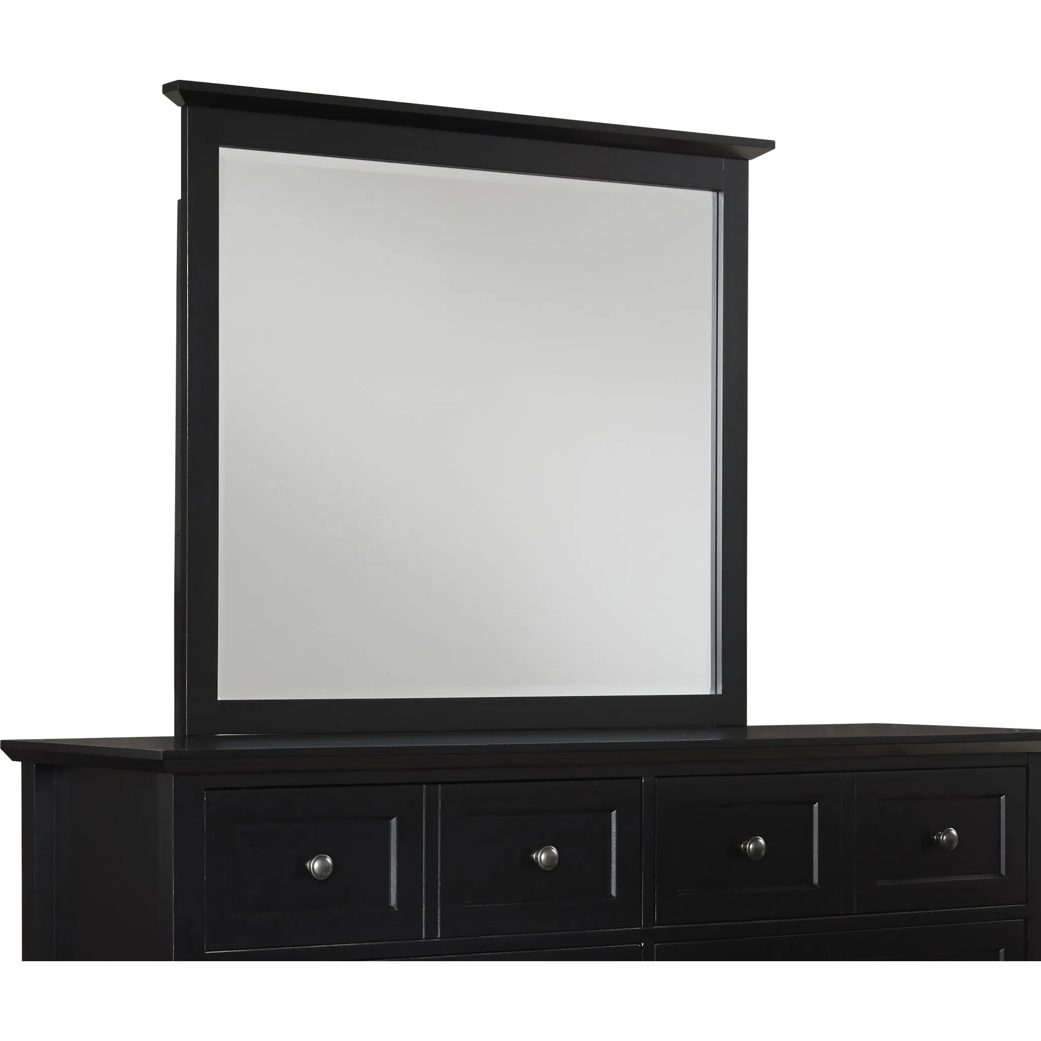 Paragon Beveled Glass Mirror in Black Modus