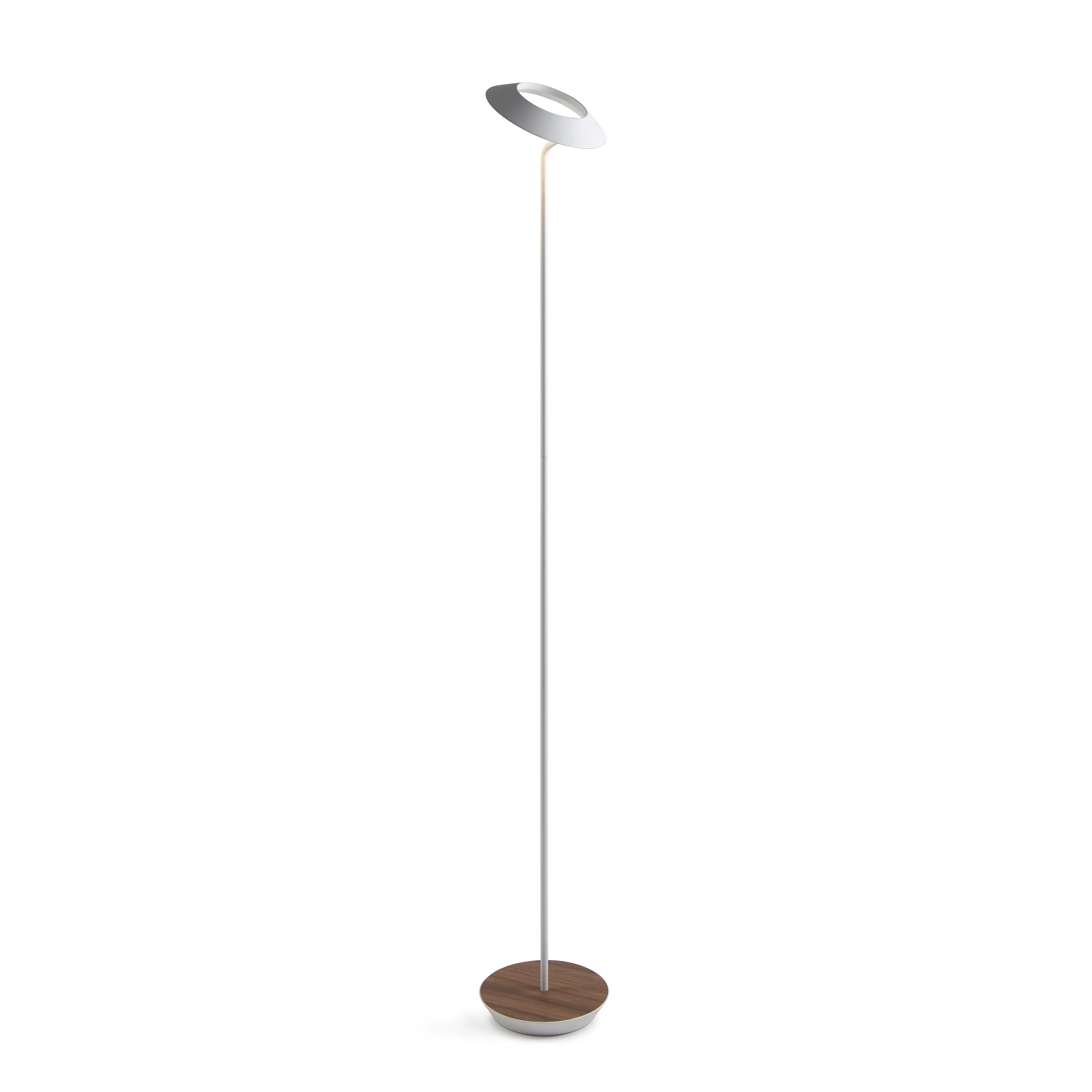 Royyo Floor Lamp