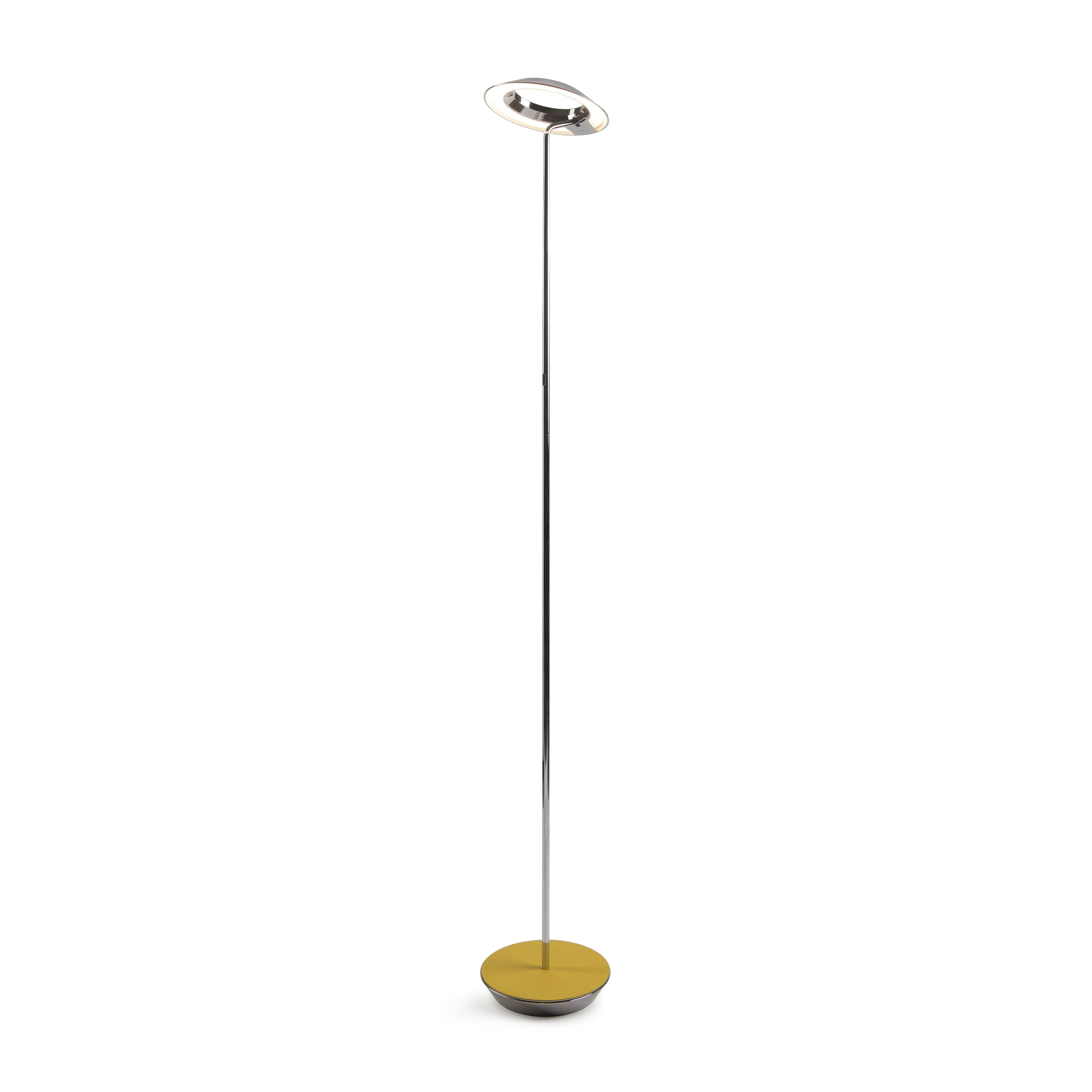 Royyo Floor Lamp