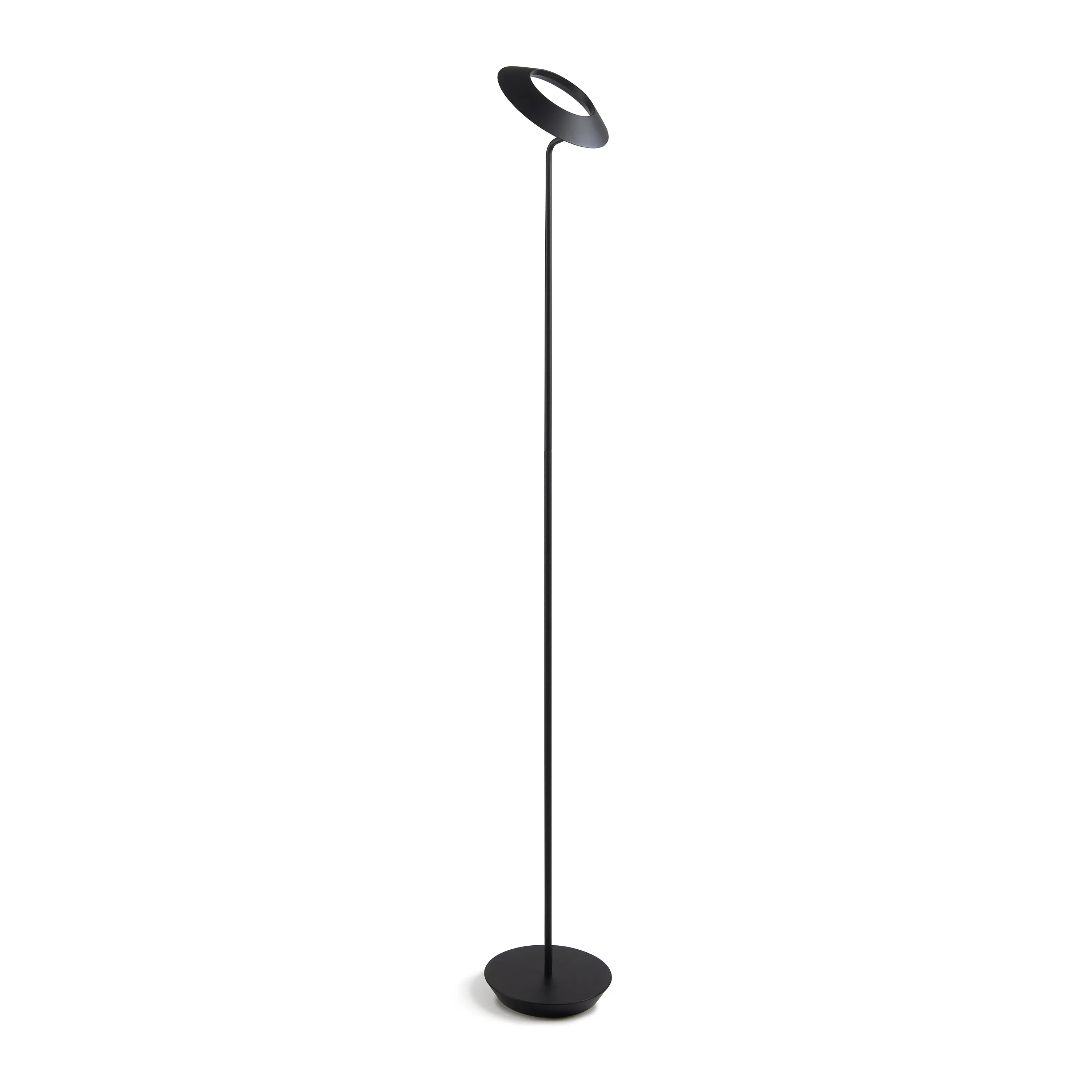 Royyo Floor Lamp