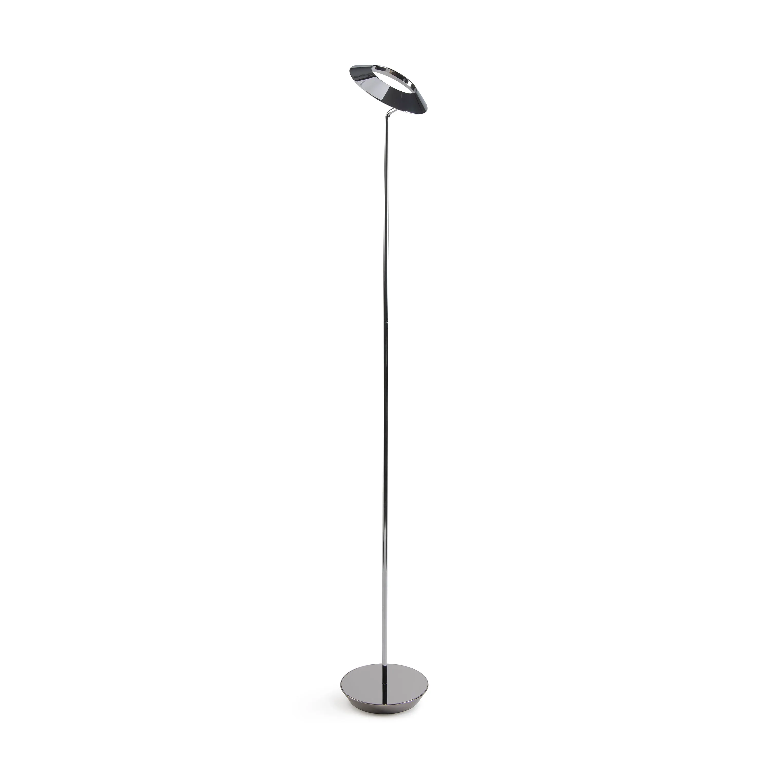 Royyo Floor Lamp