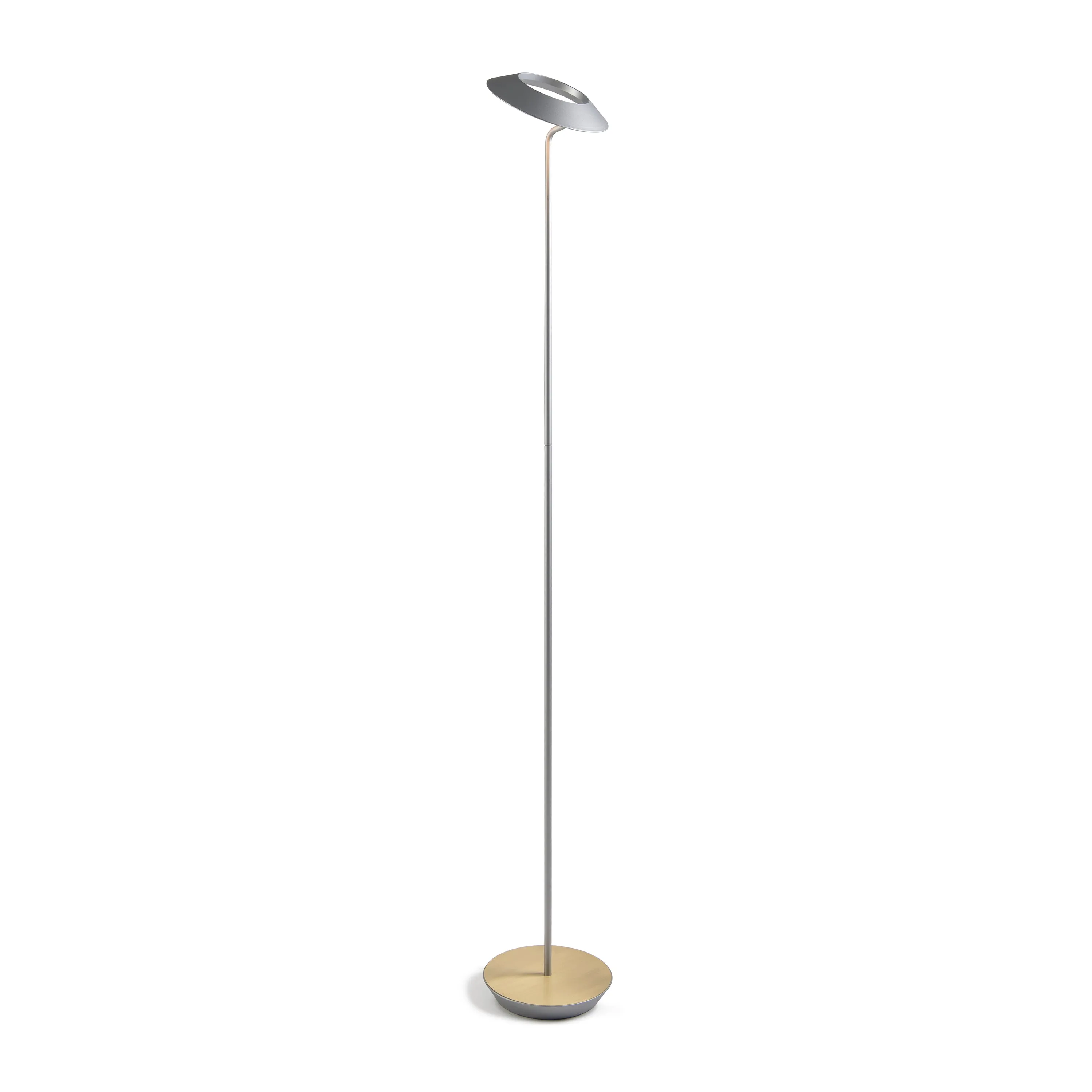Royyo Floor Lamp