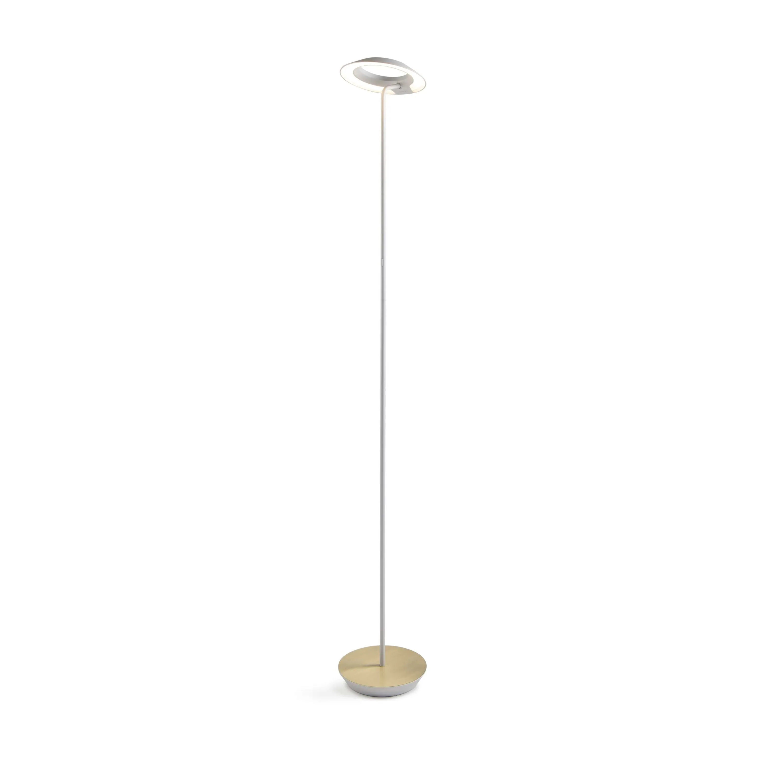 Royyo Floor Lamp