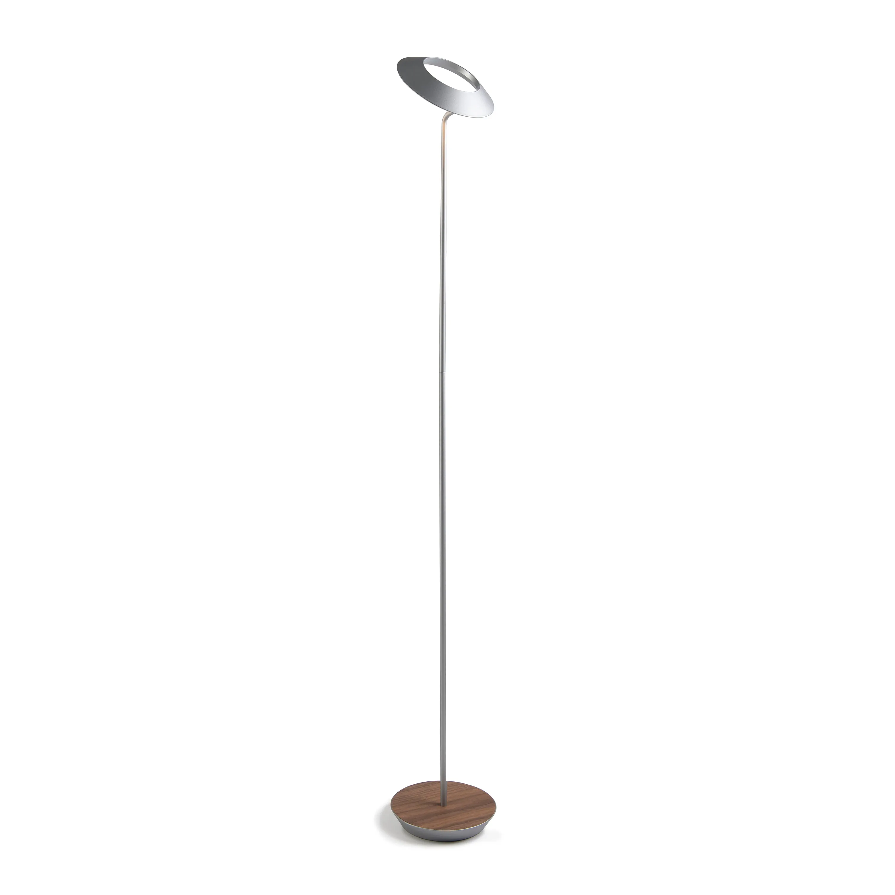 Royyo Floor Lamp