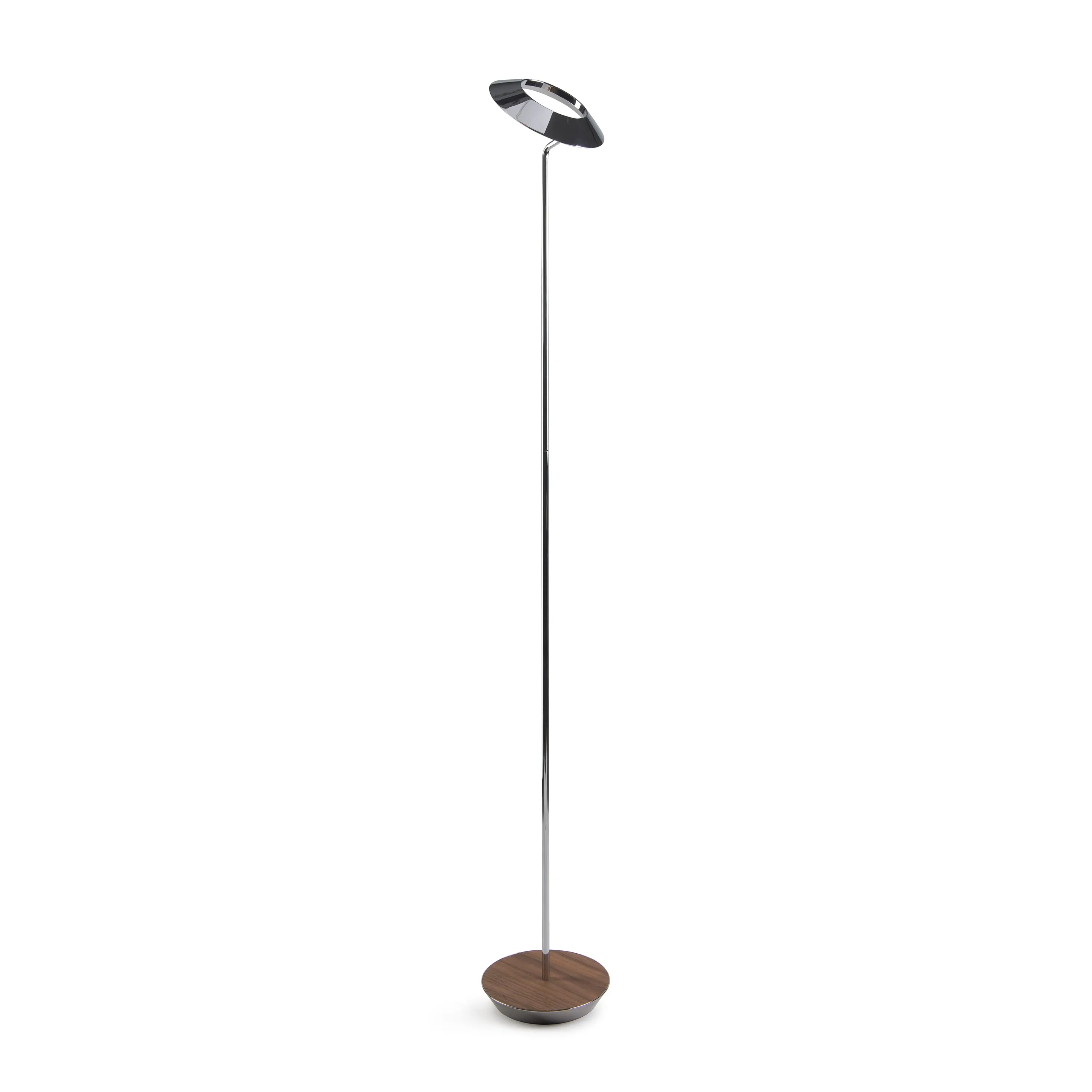 Royyo Floor Lamp