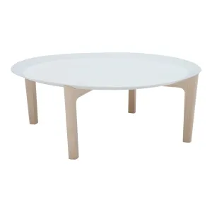 Tray Table
