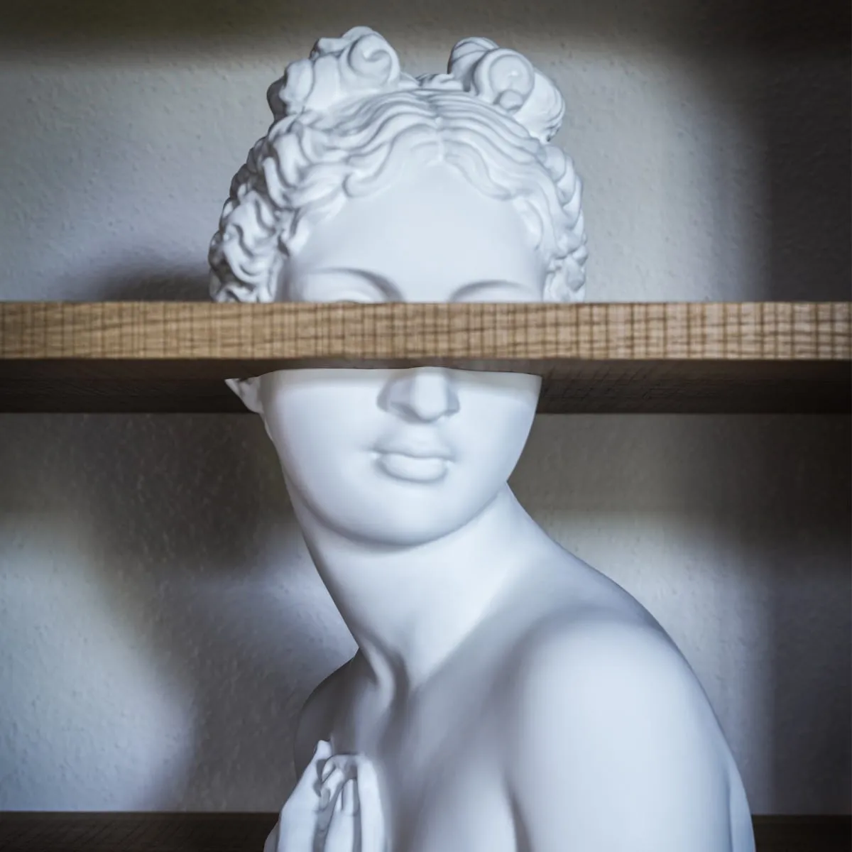 Venus Shelf
