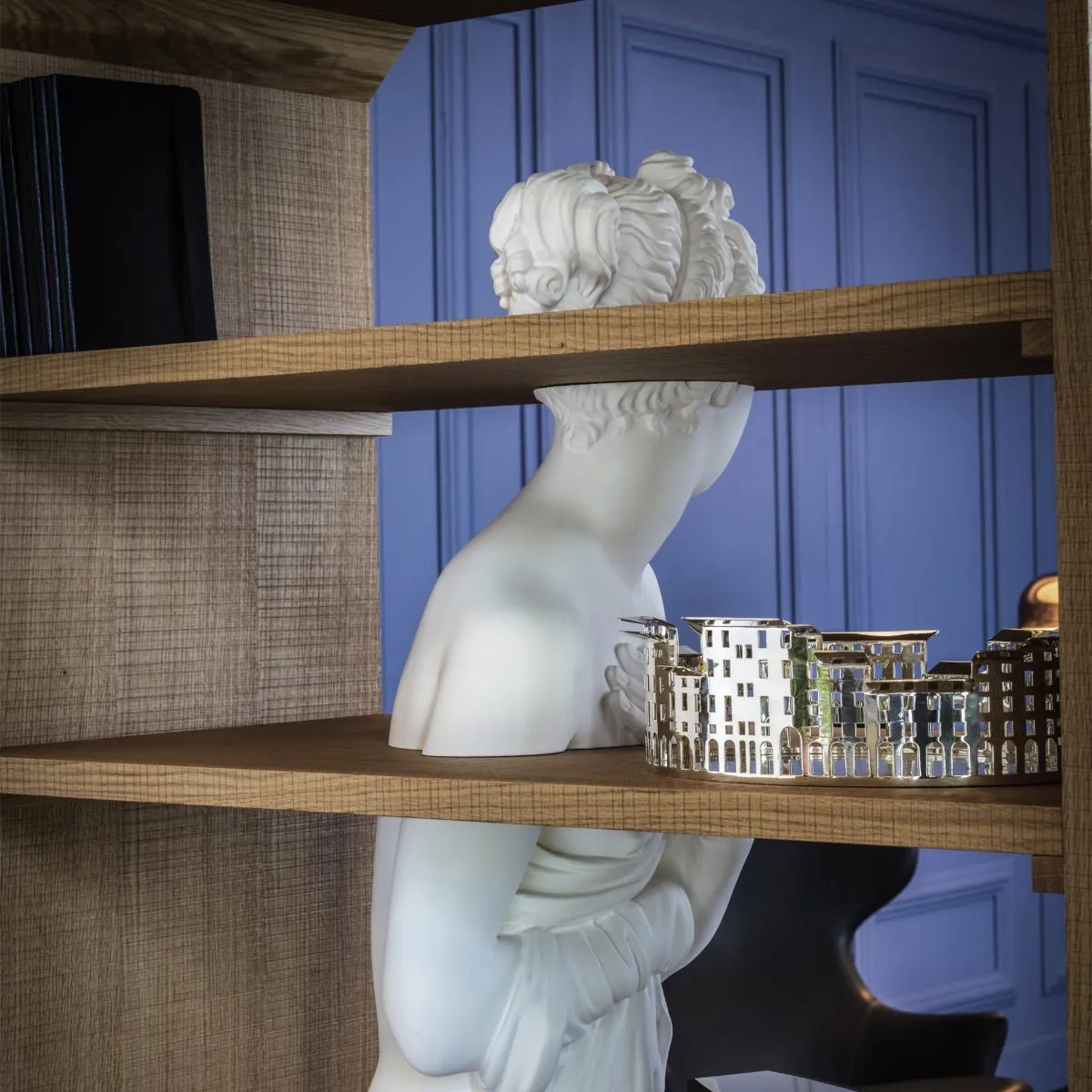 Venus Shelf