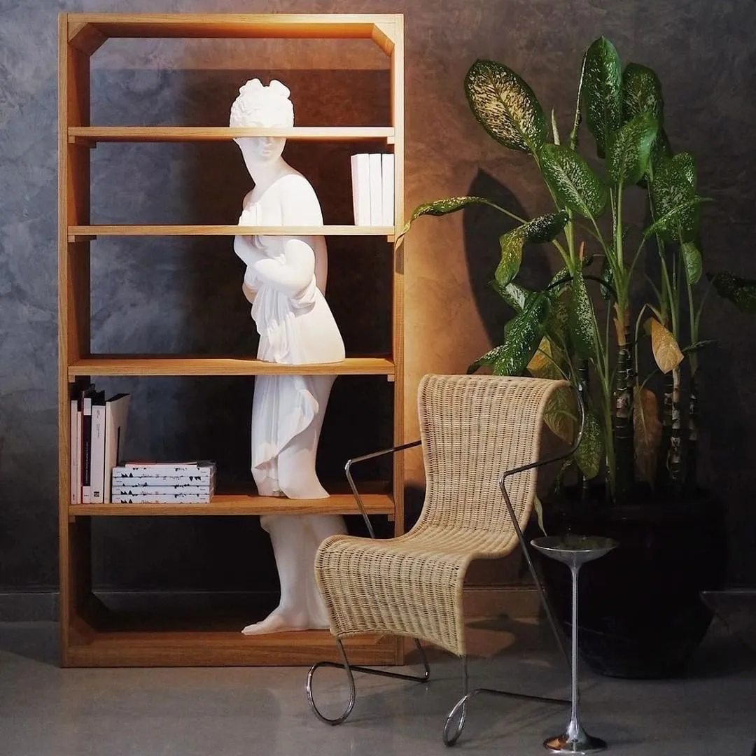 Venus Shelf