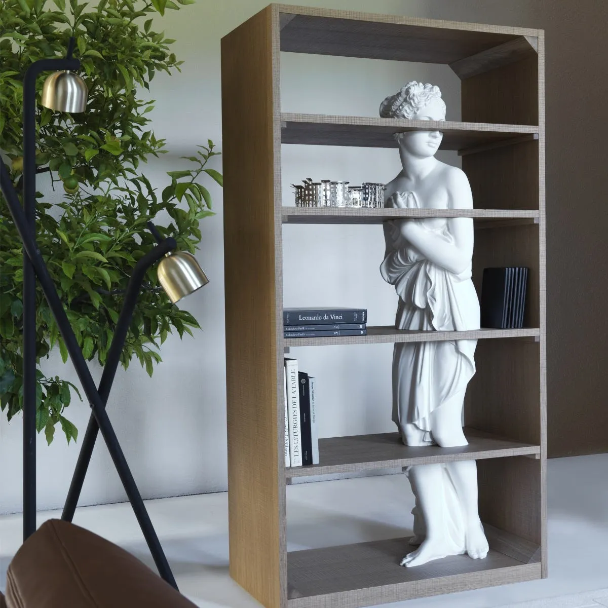 Venus Shelf
