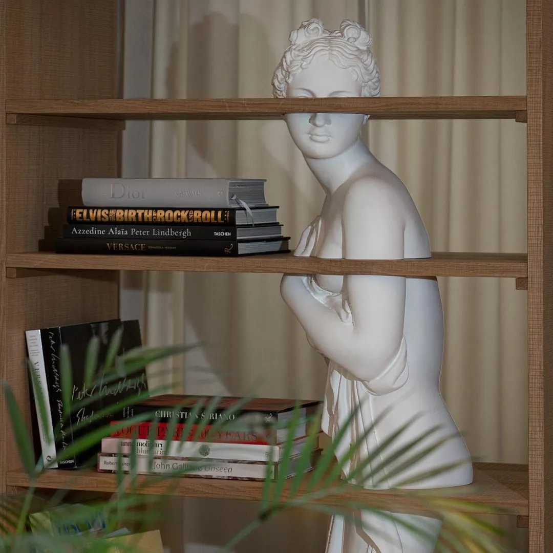 Venus Shelf