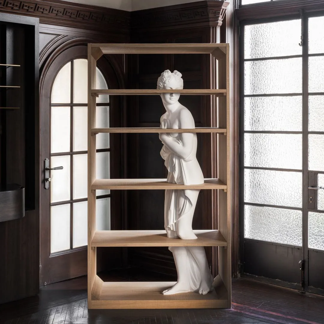 Venus Shelf