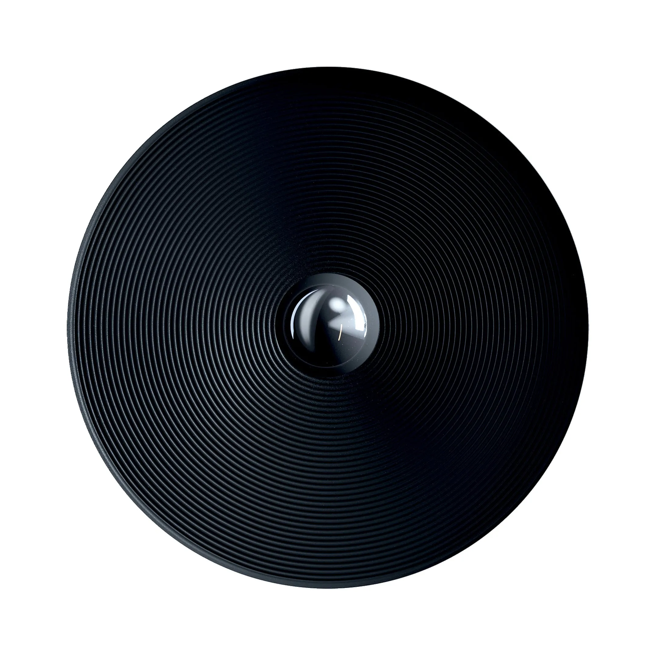 Vinyl Wall / Ceiling Light