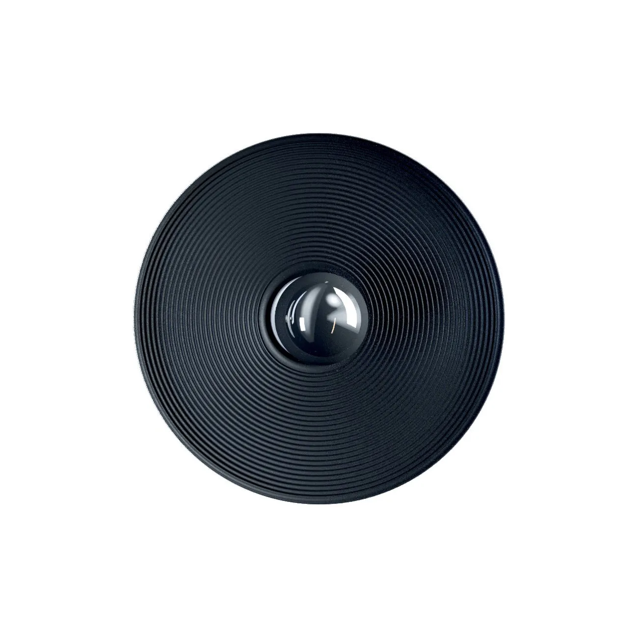 Vinyl Wall / Ceiling Light